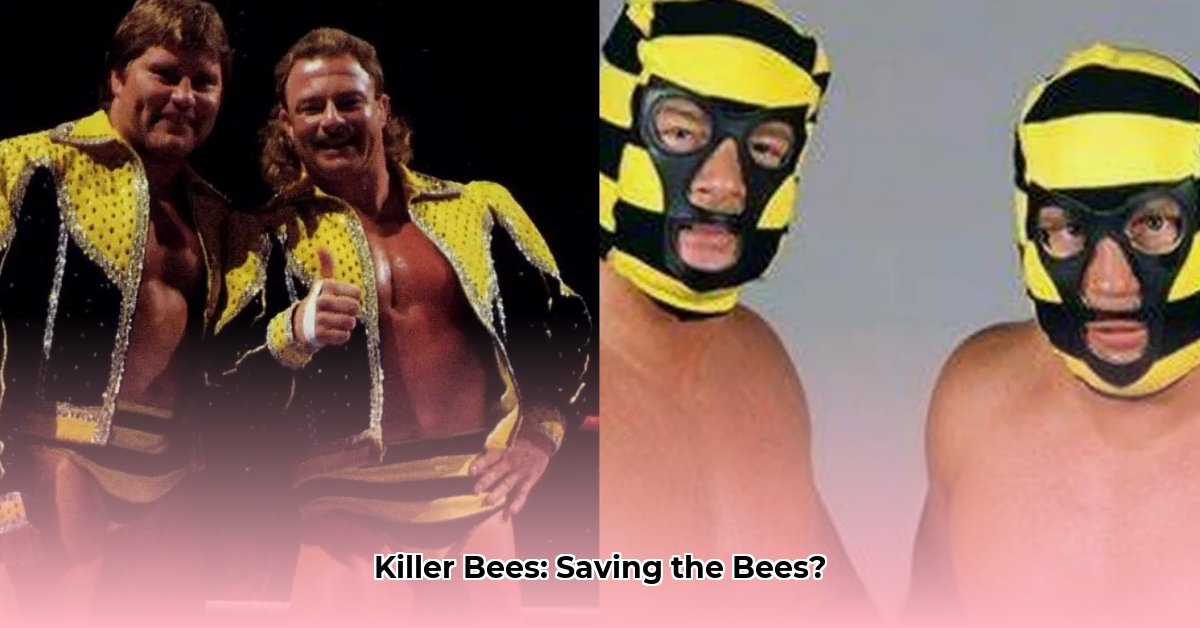 killer-bees-wiki
